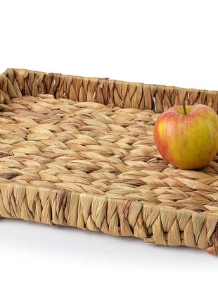 AMPARO Taca 42x30xh5cm