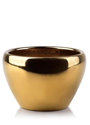 NEVA GOLD  DONICZKA 12.5*12.5*15